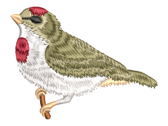 Red Capped Songbird Embroidery